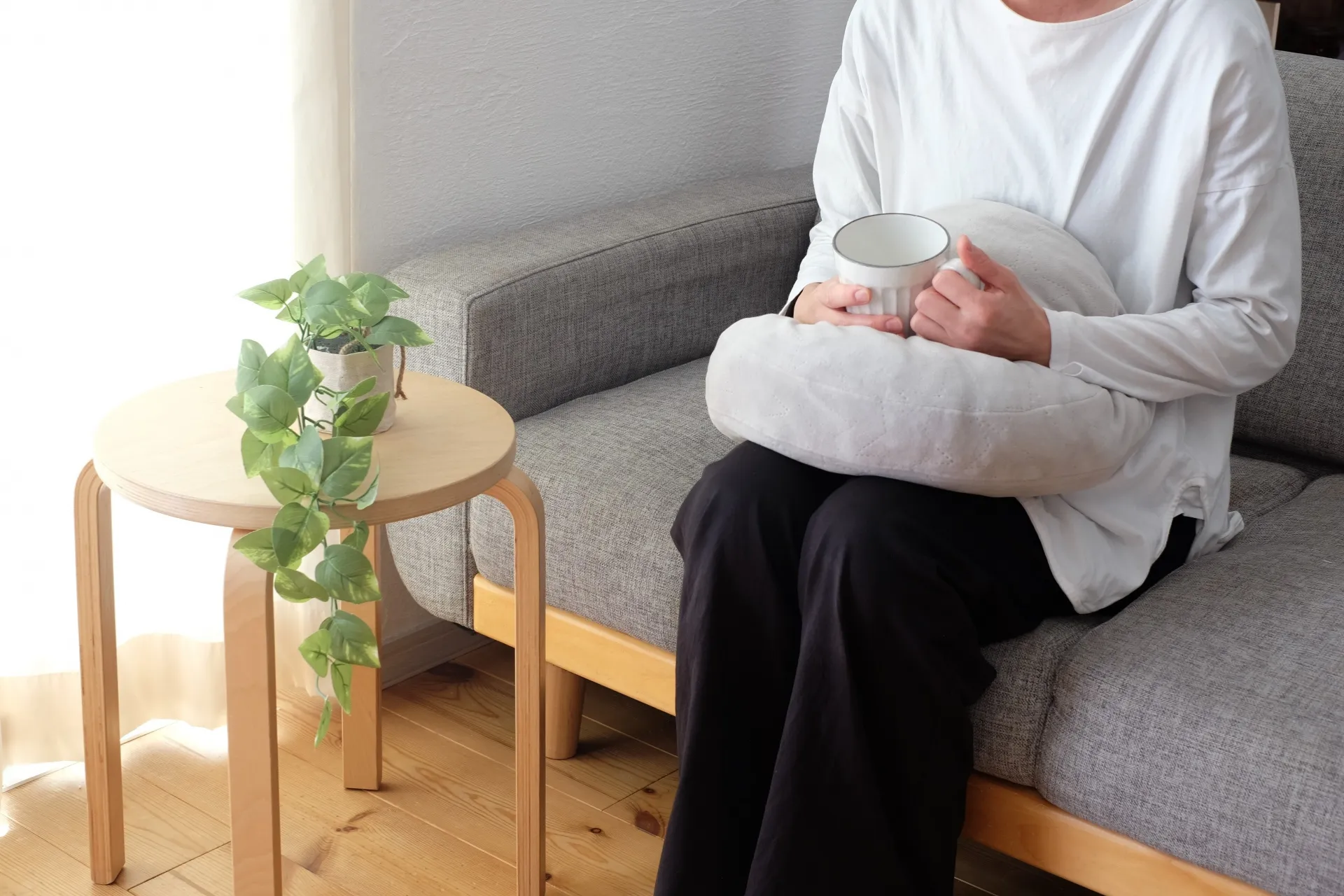 観葉植物初心者は何から始める？無理なく育てやすい植物と続けるコツ